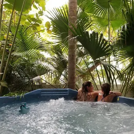 Large Private Home With Swimspa 100 Steps From Beach
